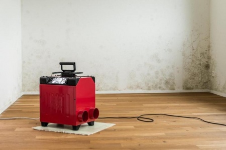 S&eacute;chage d'urgence apr&egrave;s sinistre, techniques et conseils pratiques